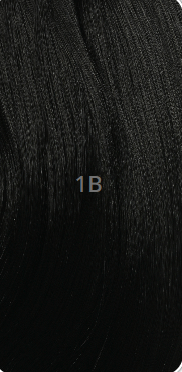 SHAKE-N-GO FREETRESS 3X FRENCH CURL BRAID 22"