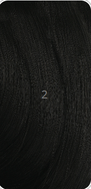 SHAKE-N-GO FREETRESS 3X FRENCH CURL BRAID 22"