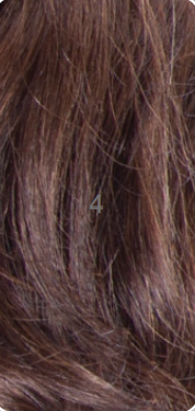 SHAKE-N-GO FREETRESS 3X FRENCH CURL BRAID 22"
