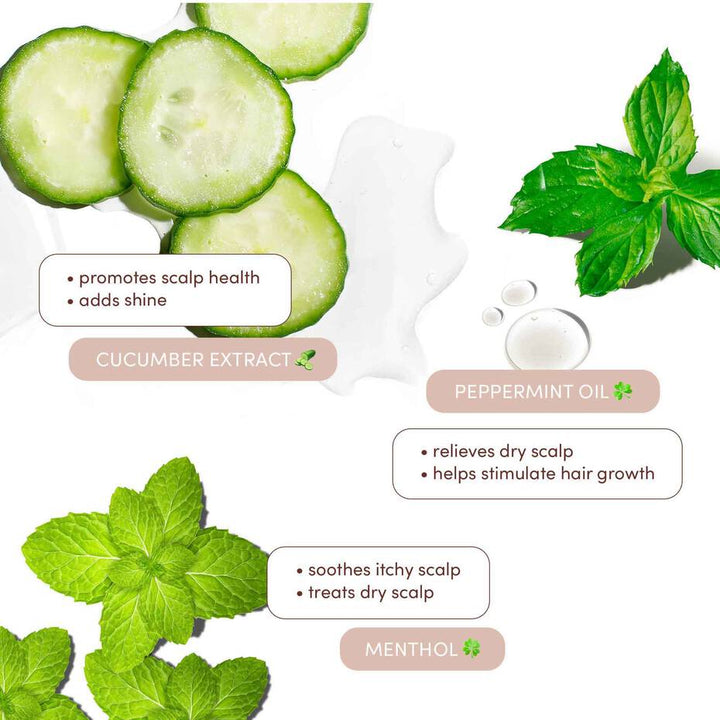 Mizani Scalp Care Hydrating Shampoo 16OZ