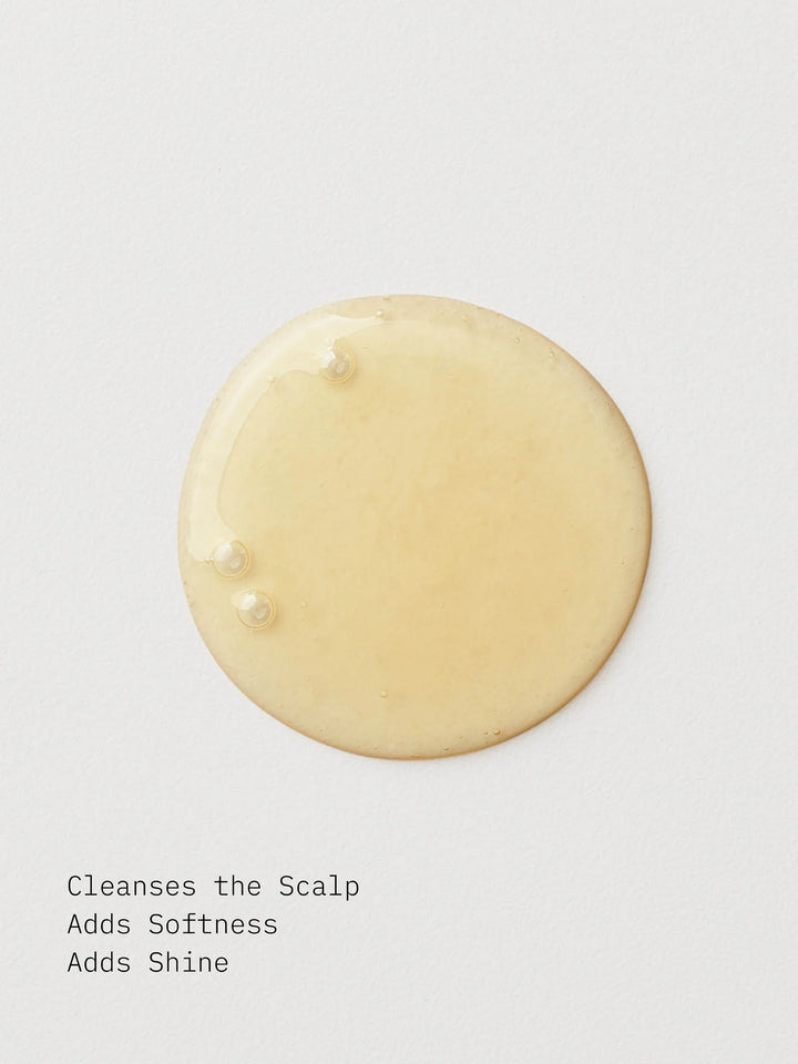 AG Hair BALANCE Apple Cider Vinegar Sulfate-Free Shampoo