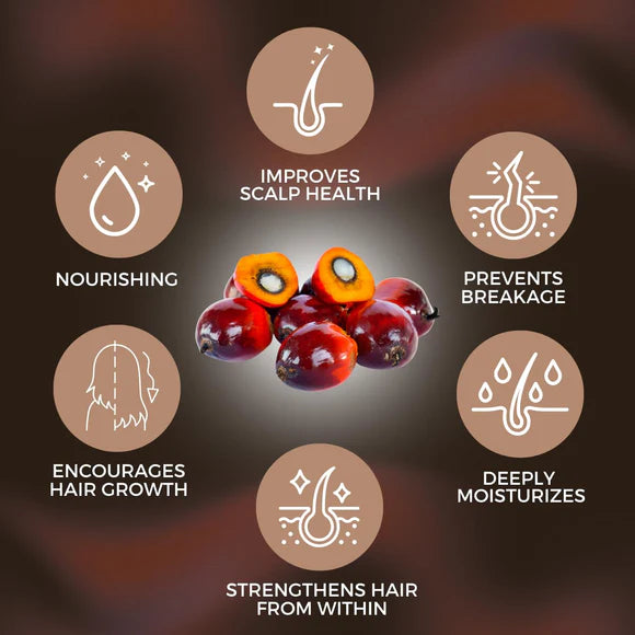 AllDay Locks Batana Hair & Scalp Conditioner