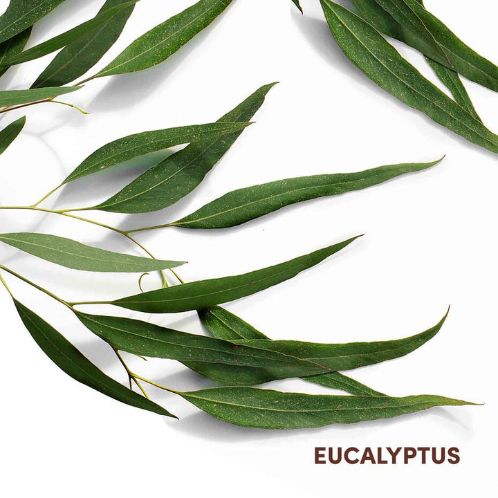 Mizani Scalp Care Calming Lotion