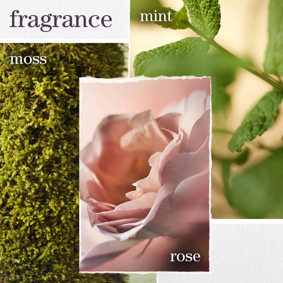 PUREOLOGY Hydrate Conditioner