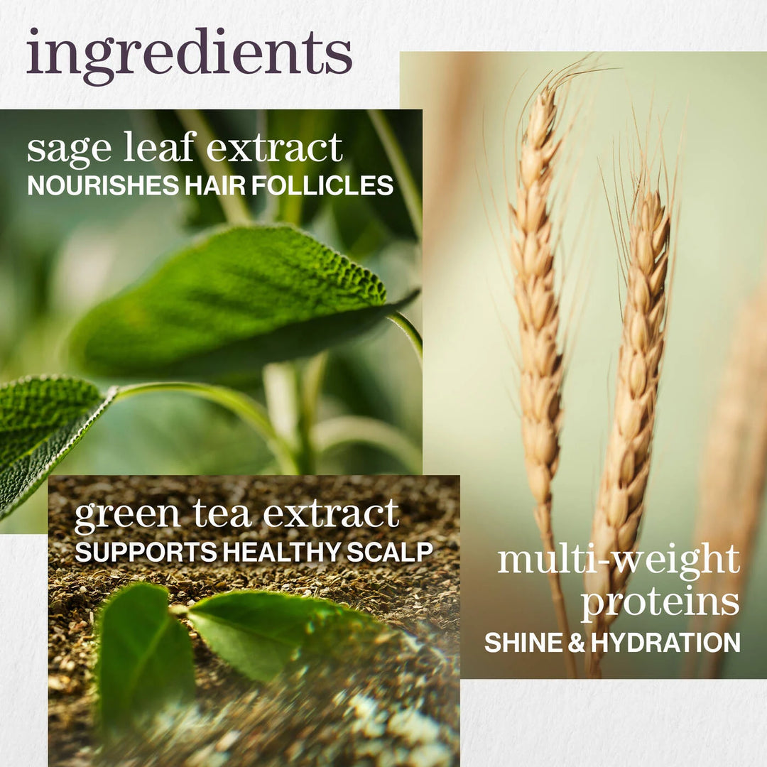 PUREOLOGY Hydrate Conditioner