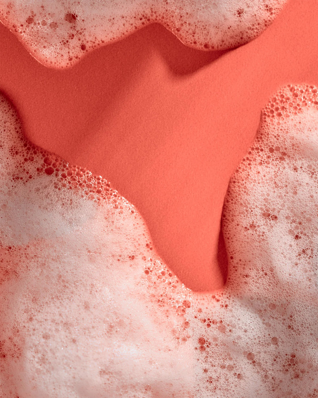 Tree Hut Sweet Punkin Foaming Gel Wash