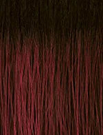 Sensationnel Lulu Pony KOKO