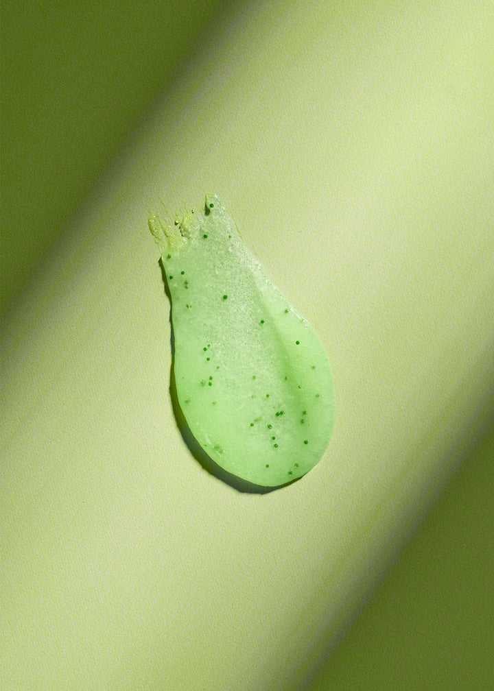 Tree Hut Palm Grove Shea Sugar Scrub