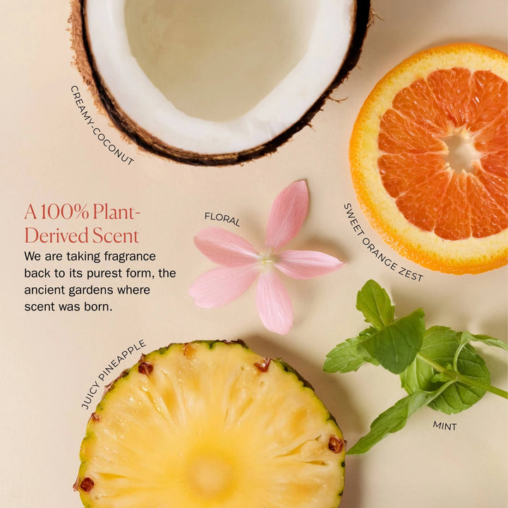 Bounce Curl Weightless Conditioning Mask